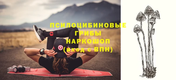 хмурый Новодвинск