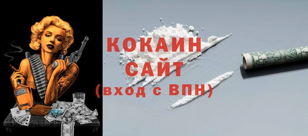 мет Новозыбков