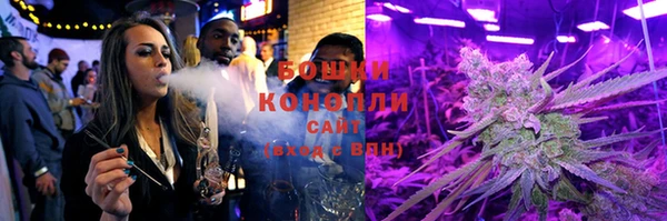 мет Новозыбков