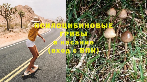 хмурый Новодвинск